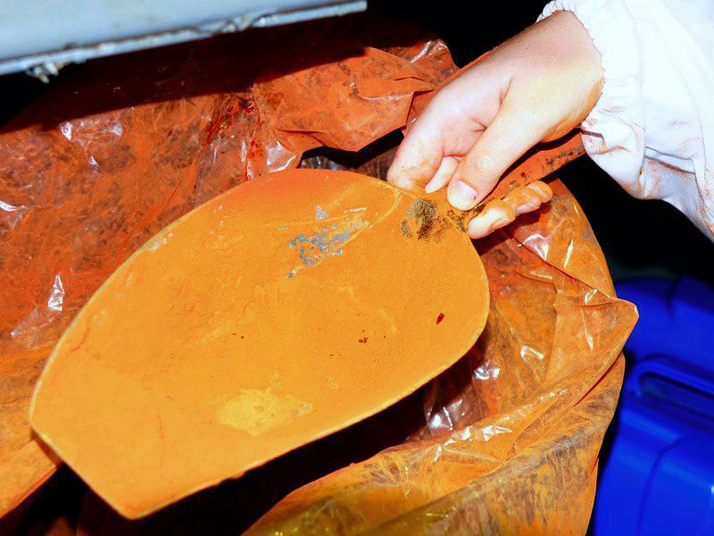 Hand hält eine Schaufel mit Rooibos-Extrakt über einem geöffneten Behälter bei African Extracts.