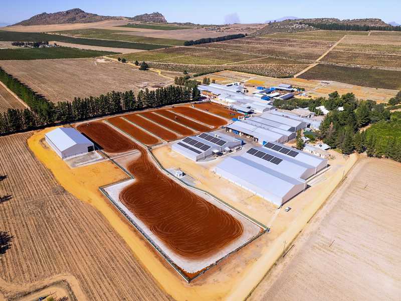 Verarbeitungsgelände der Bergendal-Farm aus der Vogelperspektive mit Tea Courts und Hallen in der Landschaft nahe dem Piekenierskloofpass