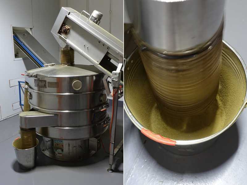 Vibro-Separator in der Rooibos-Verarbeitung; feiner Rooibos-Staub wird in einem Eimer gesammelt