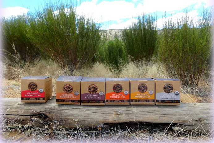 Rooibosfeld der Krieberg Farm (Cederberg, Südafrika); auf einem Baumstamm stehen sechs Bio-Cederbos Tees, darunter reiner Rooibos und aromatisierte Sorten