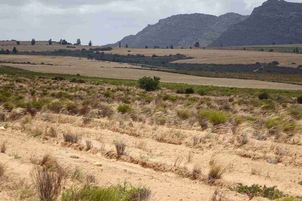 Landschaft westlich von Clanwilliam