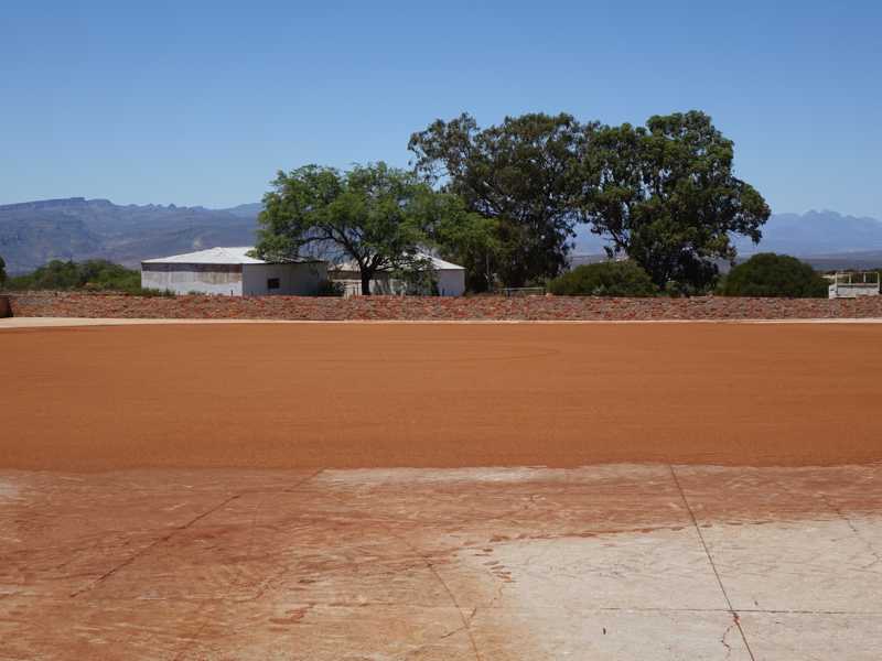 Tea Court – Rooibos zum Trocknen in der Sonne