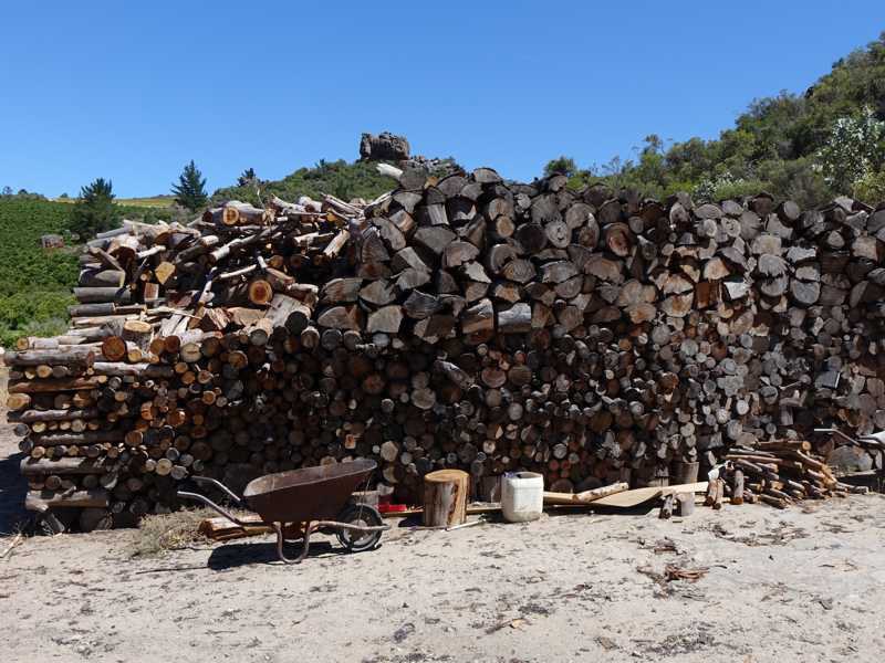 Holzstapel als Brennstoff für die Dampferzeugung der Buchu-Destillation