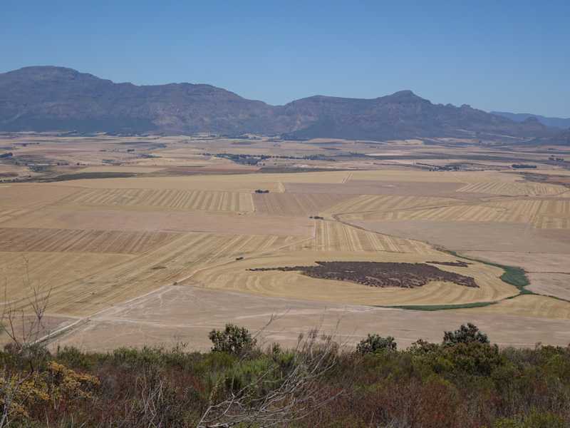 Blick von den Olifantsrivierbergen über abgeerntete Getreidefelder im Swartland, weite Ebenen und Berge im Hintergrund.
