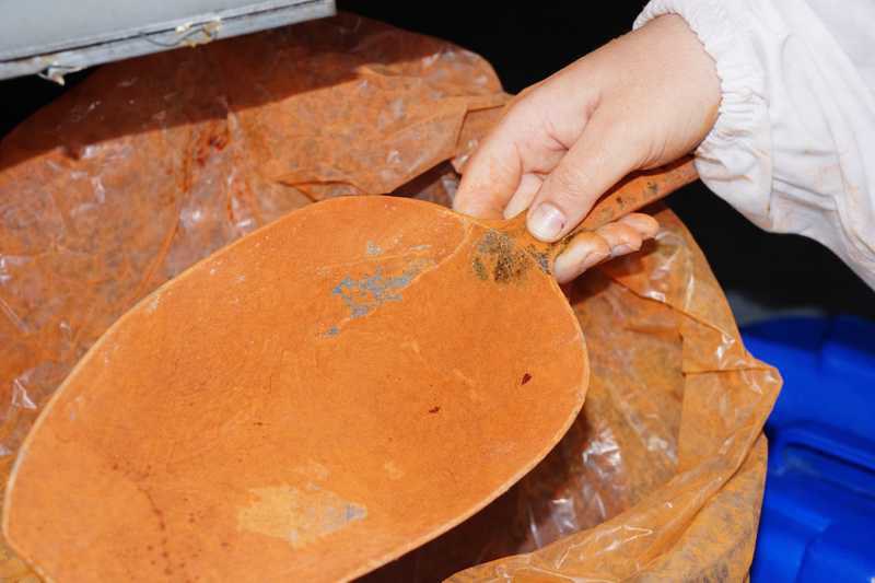 Rooibos-Extrakt als Bestandteil der Hautpflege bei African Extracts.