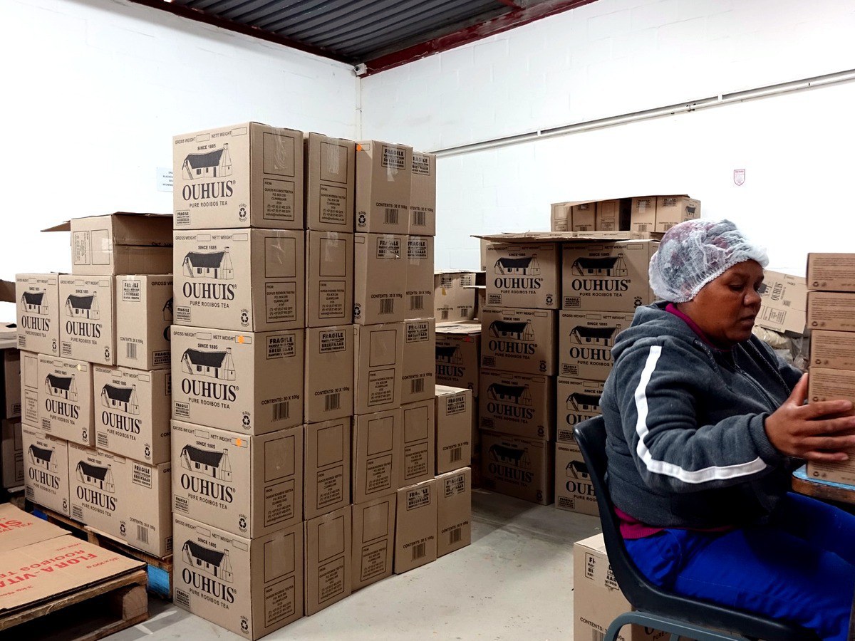 Mitarbeiterin beim Verpacken von OUHUIS Rooibos auf der Farm