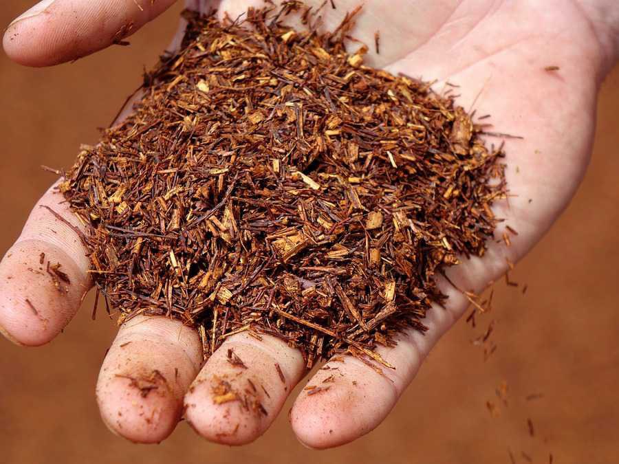 Fermentierter Rooibos auf einer Handfläche mit sichtbaren Schnittlängen und Partikelgrößen