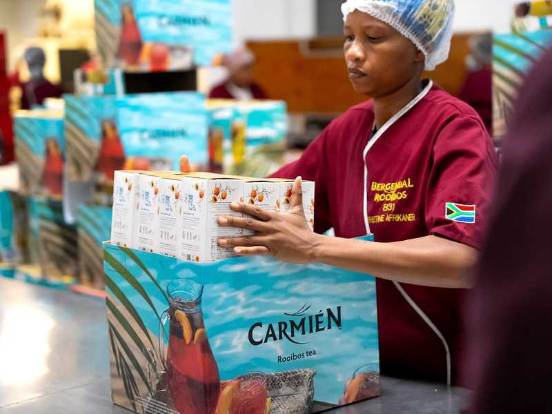 Workers at Carmién on the packing line preparing the finished teas for dispatch