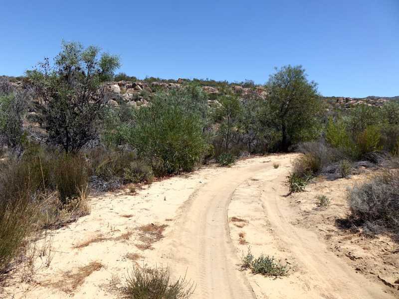 Sand track leading to Kromme Valley Farm in Trekpoort (Sandveld)