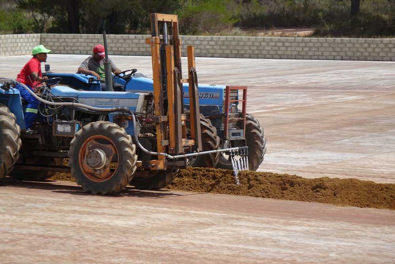 Rooibos Irrigation on the Skimmelberg Farm A tractor with front-mounted water outlets irrigating the heaped Rooibos silage cut on the Tea Court of the Skimmelberg Farm.