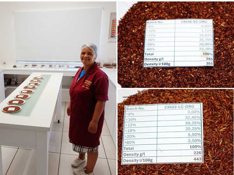 Laboratoire avec des échantillons de rooibos pour le contrôle qualité