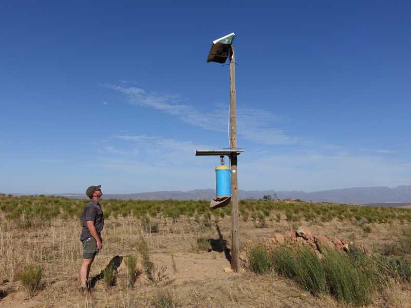 Johan près d’un mât avec panneau solaire et piège à insectes dans le champ de rooibos